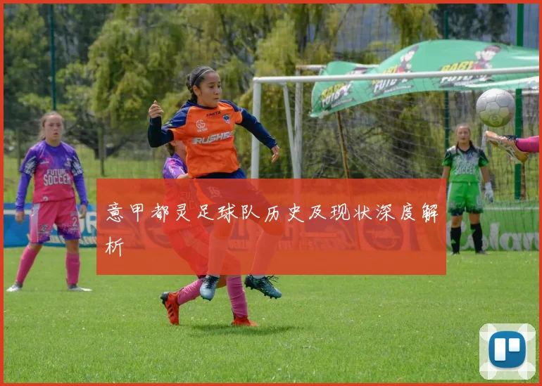 意甲都灵足球队历史及现状深度解析