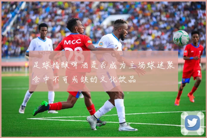 足球精酿啤酒是否成为主场球迷聚会中不可或缺的文化饮品