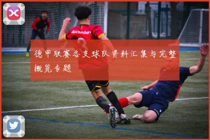 德甲联赛各支球队资料汇集与完整概览专题